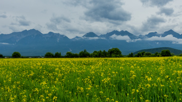 Due to the development of tourist infrastructure, it is planned to double the tourist flow to Buryatia